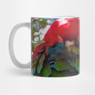 Scarlet Macaw V1 Mug